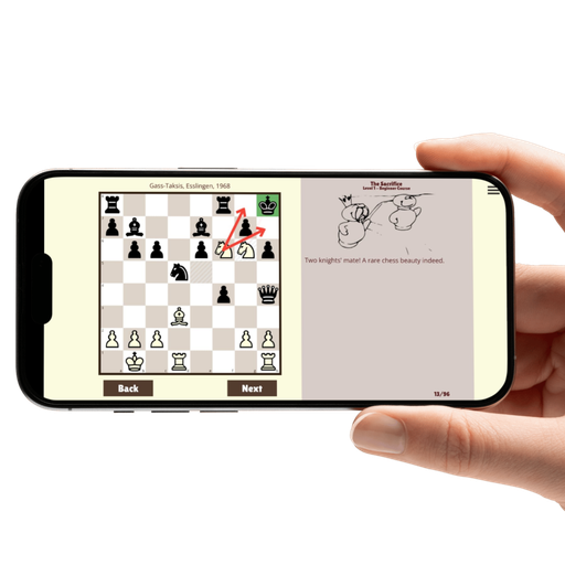 1:1 Chess Trial Class + Skill Assessment (60 mins)