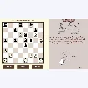 Website (4).webp