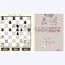 Website (3).webp